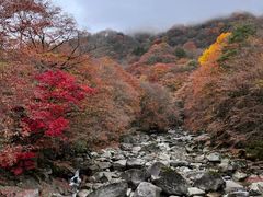 -光雾山旅游景区