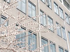 -北京大学百年讲堂