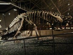 -世界恐龙谷景区