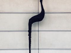 -凤凰中心