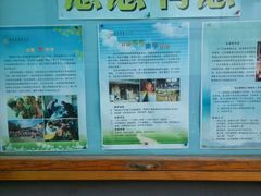 -北京佛教居士林
