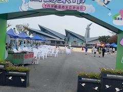 -盐城丹顶鹤湿地生态旅游区