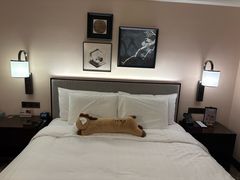 -苏州吴宫泛太平洋酒店