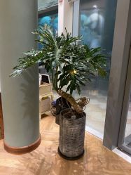 -娇玫荟SPA