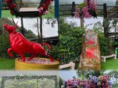 -东莞观音山旅游风景区