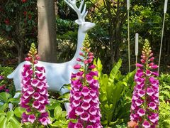 -东方体育中心(地铁站)