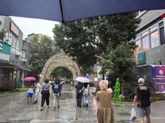 -中粮·祥云小镇