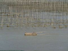 -北岐滩涂