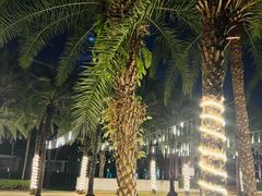 -三亚海棠湾万丽度假酒店