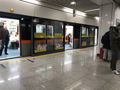 -杨高南路(地铁站)