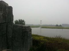 -白洋淀景区