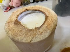 -志龙皇冠吃货椰子铺