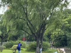 -东华大学(松江校区)