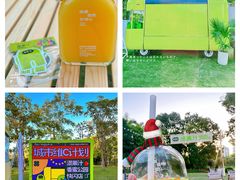 -香蜜公园