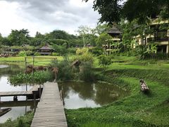 -四季酒店下午茶