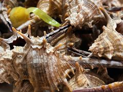 -有间冰室(侨港风情街店)