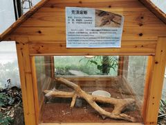 -上海大自然野生昆虫馆(东方明珠·爬宠昆虫探索中心)
