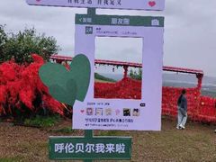 -呼伦贝尔大草原
