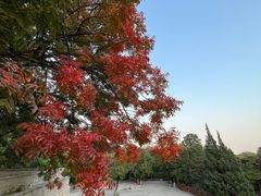 -北京西山国家森林公园