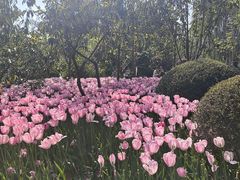 -翠湖公园