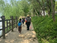 -东梓关景区村庄