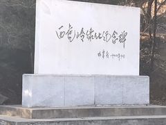 -白水寺森林公园