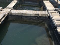 -海上驿站渔家菜馆