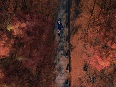 -桤木河湿地公园