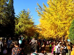 -辽宁大学(崇山校区)