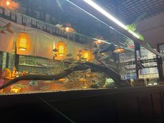 -阿泽料理