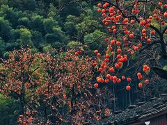 -丹山赤水风景名胜区