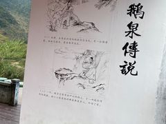 -靖西鹅泉风景区