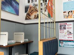 -伟伟宠物医院·瑞派猫友好医院·猫科(光谷店)
