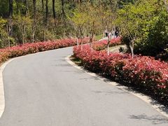 -灵岩山风景区