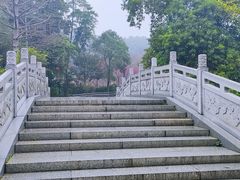 -广州市帽峰山景区