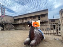 -镇北堡西部影城