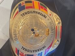 -花环泰拳·勒德斯拉泰拳馆(静安店)