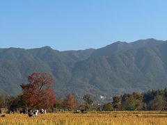 -塔川景区