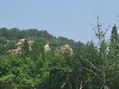 -棒棰岛宾馆景区