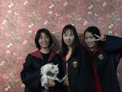 -逃脱反斗城沉浸剧情密室(北京路店)