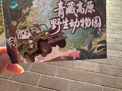 -青藏高原野生动物园