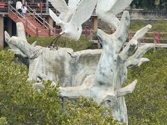 -北海金海湾红树林生态旅游区