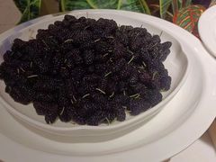 -裕龙汤泉
