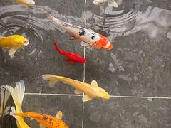 -天津海河悦榕庄·Lobby Lounge大堂吧