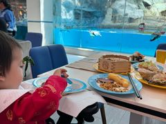 -帝企鹅自助餐厅•儿童岛•真企鹅(长隆企鹅酒店)