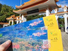 -深圳仙湖植物园
