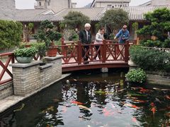 -顺德了能馆(虎门店)