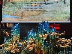 -衢州市博物馆