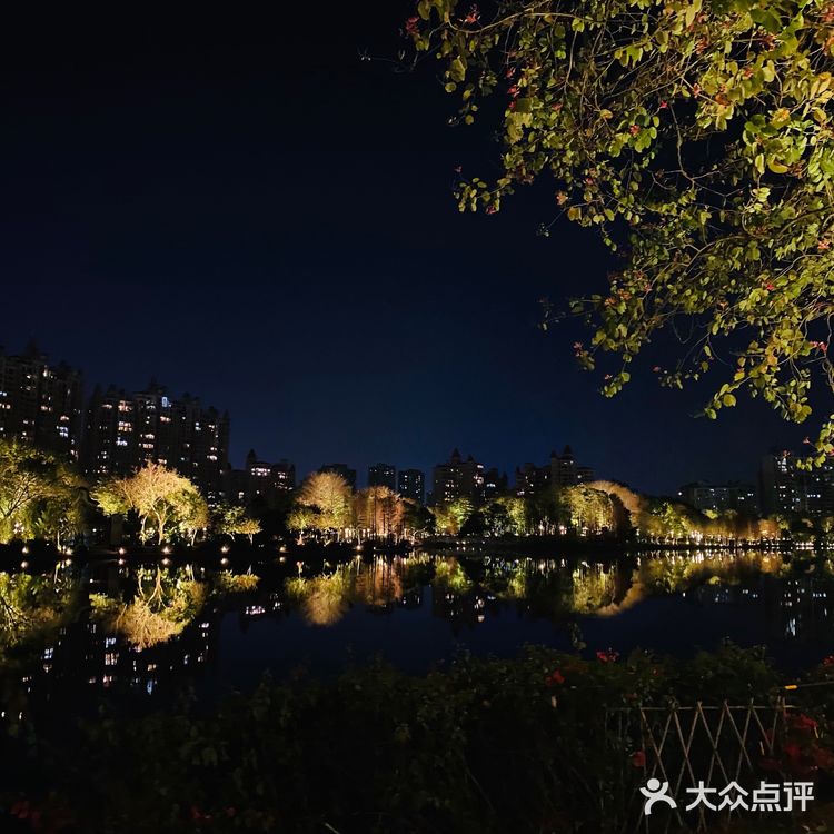 打卡，新佛山夜景