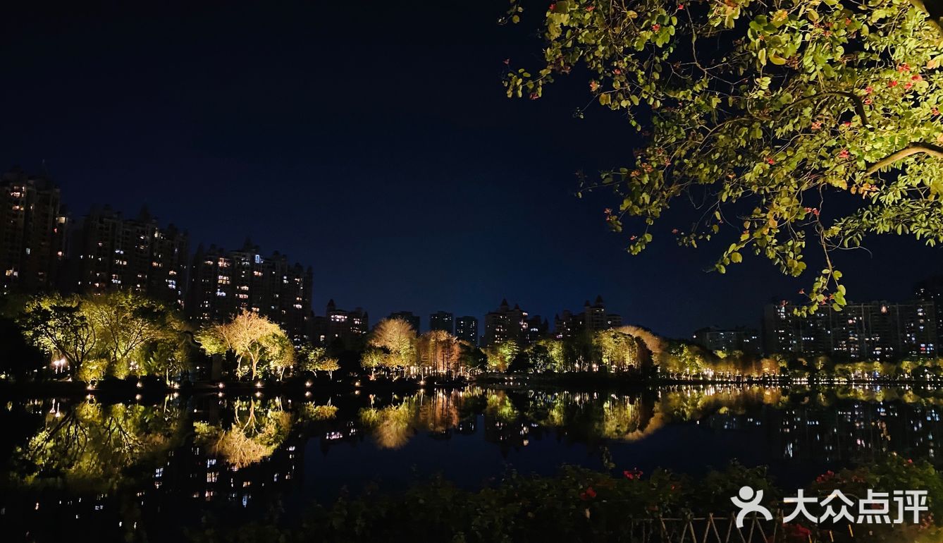 打卡，新佛山夜景